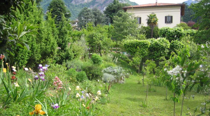 Villa De Ponti. Eventi in giardino presenta “Non solo fiori” villa_de_ponti_calolzio
