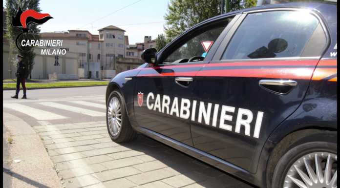 Milano. Canapa ‘Light’ lavorata illegalmente: sequestrati 950 kg Carabinieri Milano