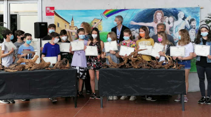 Casatenovo: premiati gli studenti del progetto artistico “L’anima della robinia” Progetto L'anima della robinia