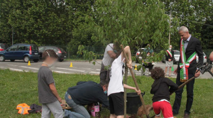 Merate, un ciliegio a scuola per ricordare il piccolo Gioele: “Vogliamo giustizia per lui”