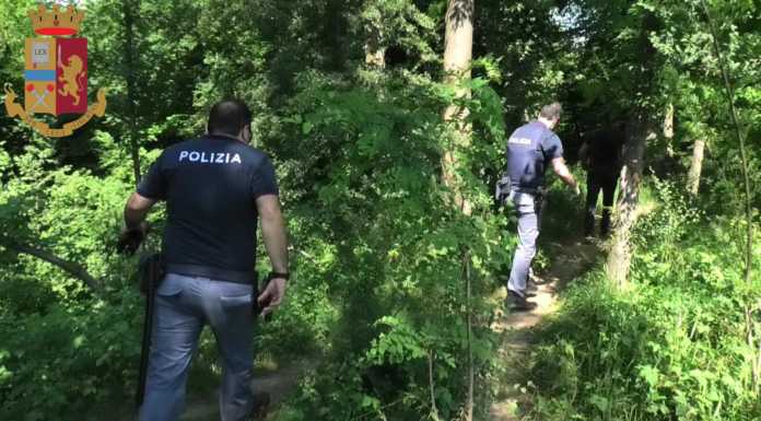 Nibionno. Blitz antidroga della Polizia nei boschi di Cibrone, un arresto Polizia droga nibionno