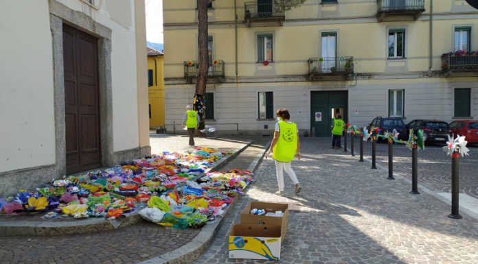 Seminiamo Bellezza: la mappa delle fioriture in città fino al 21 giugno seminiamo bellezza