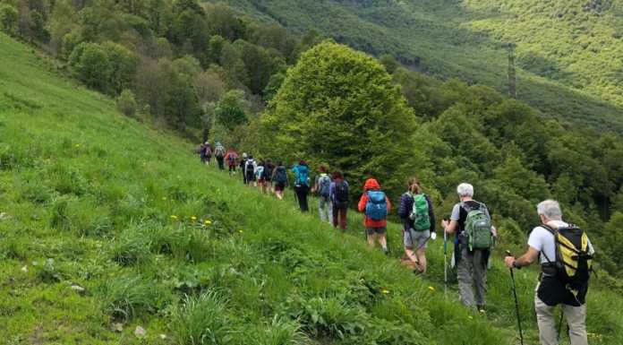 Il Cai Strada Storta riparte dal Sentiero dei Grandi Alberi sentiero_grandi_alberi_cai_strada_storta