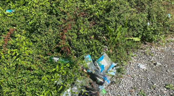 Sporcizia e rifiuti nei boschi di Germanedo: “E’ davvero uno schifo” sporcizia_germanedo