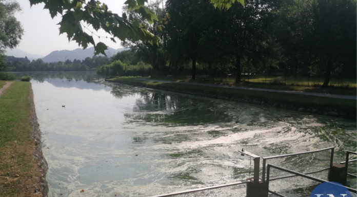 Merate, lago di Sartirana: “Con il wash out l’80% di fosforo in meno in 15 anni”