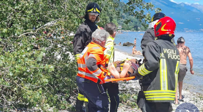 Oliveto, cade albero in spiaggia: travolta una famiglia