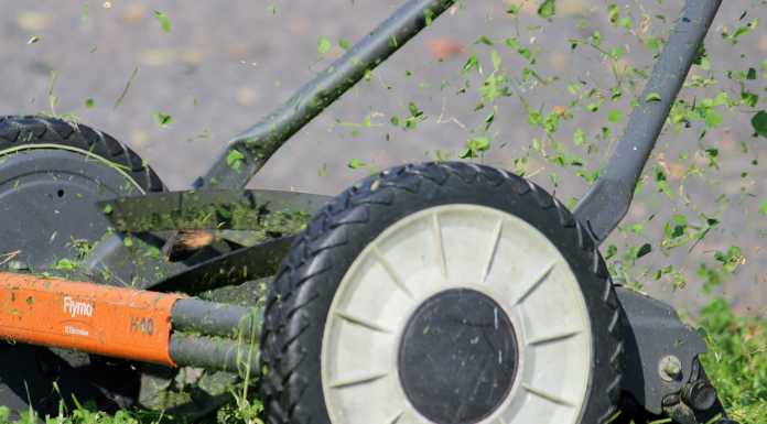 Taglio del verde a bordo strada: ecco i prossimi interventi dal 19 luglio