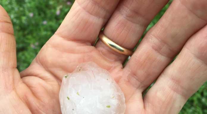 Piogge forti e grandine. Coldiretti: “A Lecco e Como perso l’80% del raccolto”