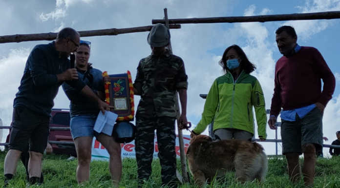 A Morterone successo per la gara di cani da lavoro, vincono Gabriel Facchini e il suo Belo Il vincitore Gabriel Facchini con il cane Belo