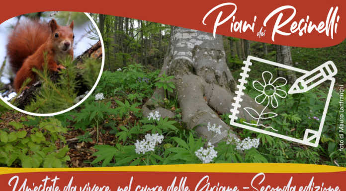 Piani Resinelli. Ultimi posti disponibili per l’appuntamento “Artisti al parco Valentino”