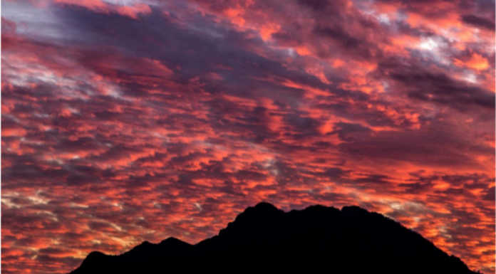 Parco Monte Barro. Si è chiuso il concorso fotografico, ecco i vincitori di luglio concorso fotografico monte barro