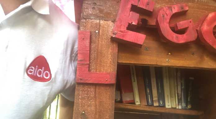 Olginate. I volontari dell’Aido ripristinano le due casette del book crossing I book crossers potranno riprendere a utilizzare il servizio in tutta tranquillità