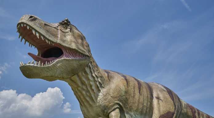 “Dinosauri”, la commedia comica sulla fine del mondo arriva a Lecco dinosauro