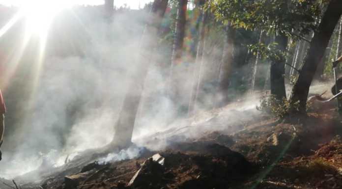 Torna a bruciare la pineta di Sormano, intervengono pompieri e volontari