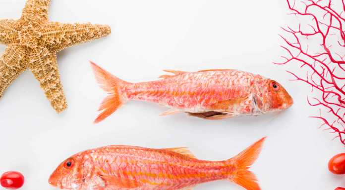 Pesce: come scegliere il prodotto migliore