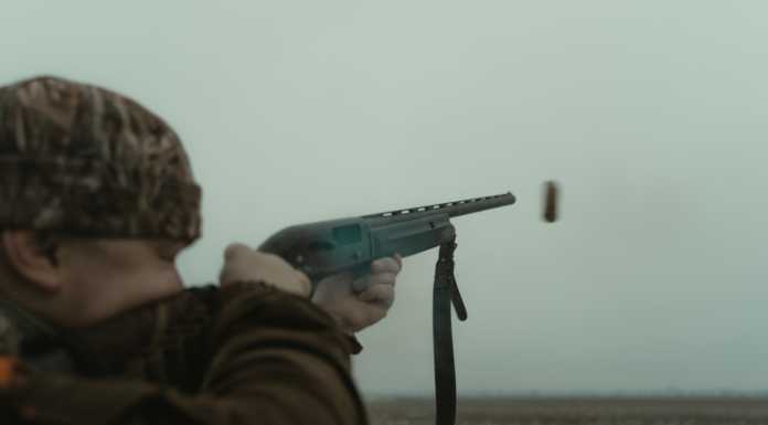 Regione adegua il calendario venatorio. “Riapre la caccia in Lombardia”