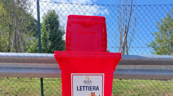 Silea introduce il contenitore rosso per gli “amici animali” nei centri di raccolta contenitore lettiera silea
