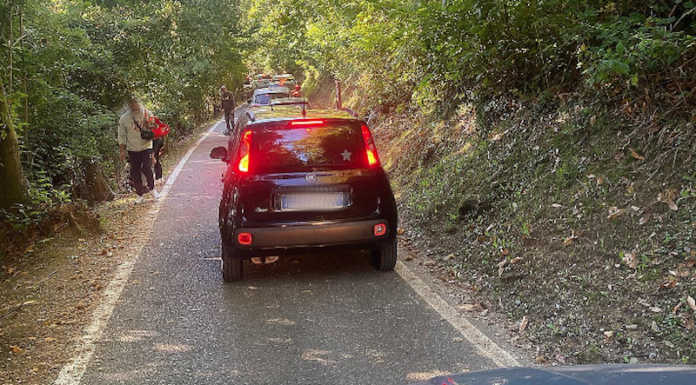 Assalto al Parco del Curone per le castagne: “Bene le navette, ma non bastano”