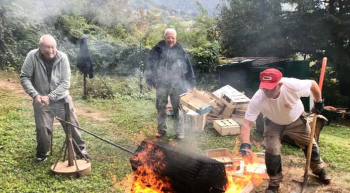 Cai Lecco. Il Gruppo Età d’Oro a Bressanella per la castagnata Castagnata Geo Cai Lecco