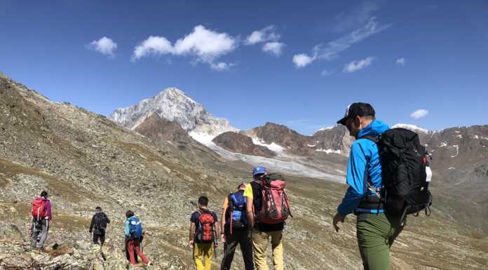 Guide Alpine e Accompagnatori di media montagna: 5 incontri on-line aperti a tutti Corso Accompagnatore media montagna