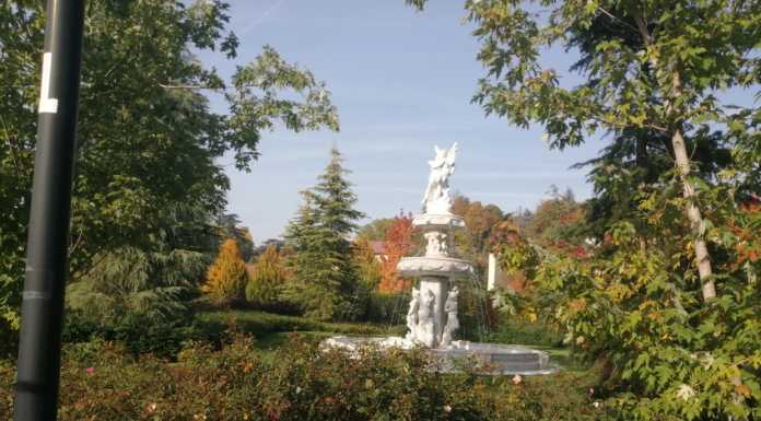 Merate, passa all’unanimità con il “lodo” Procopio la mozione per intitolare a donne luoghi pubblici