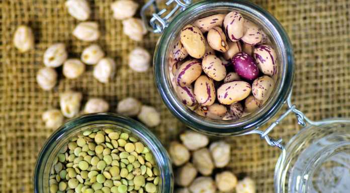 La Salute Vien Mangiando. Perché con il freddo aumenta la fame e la voglia di dolci?