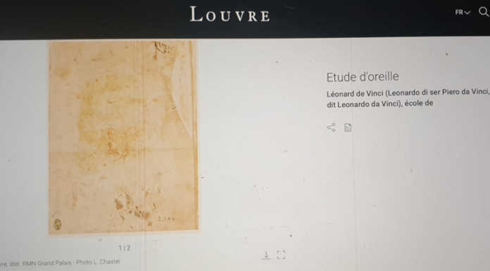 Un inedito volto di Leonardo al Louvre? La curiosa scoperta di un appassionato di Lecco Il disegno della collezione del Louvre
