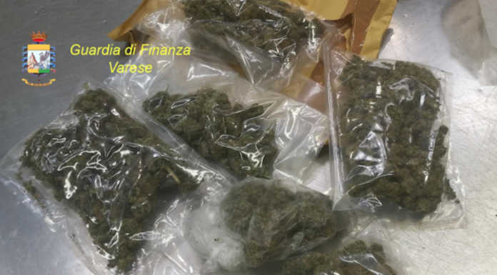 Malpensa: 20 arresti e 1,8 tonnellate di droga sequestrata con l’operazione Home Delivery
