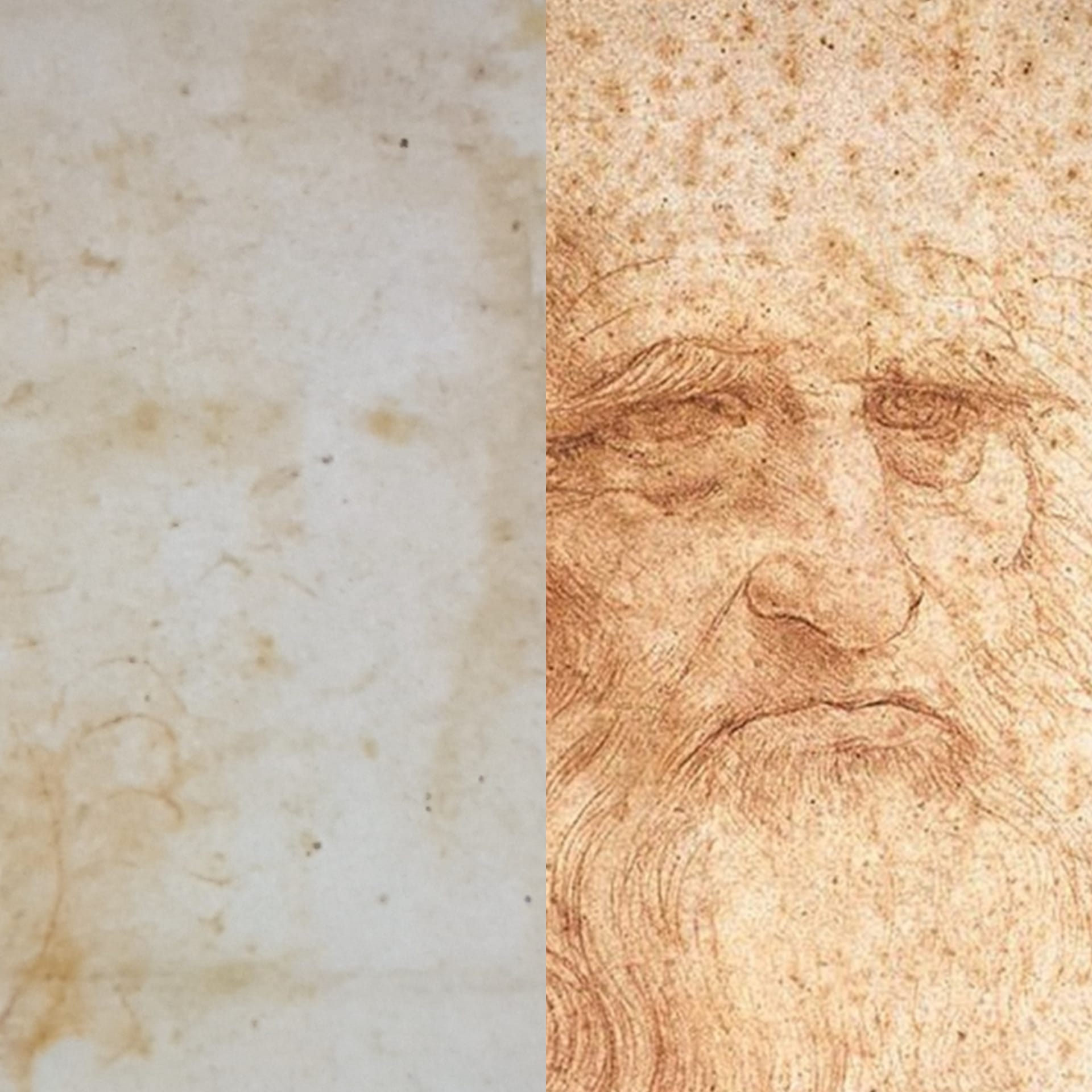 Il confronto del volto del Louvre con l'autoritratto di Torino