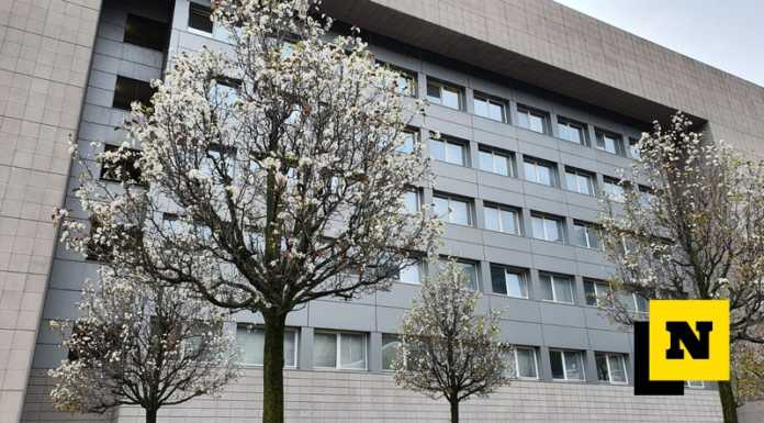 Lecco. All’ospedale fioritura anticipata: “Segno evidente del cambiamento climatico” Le fioriture anticipate che si possono notare in questi giorni nel cortile dell'ospedale di Lecco