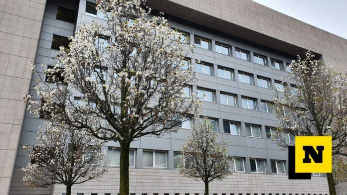 Le fioriture anticipate che si possono notare in questi giorni nel cortile dell'ospedale di Lecco
