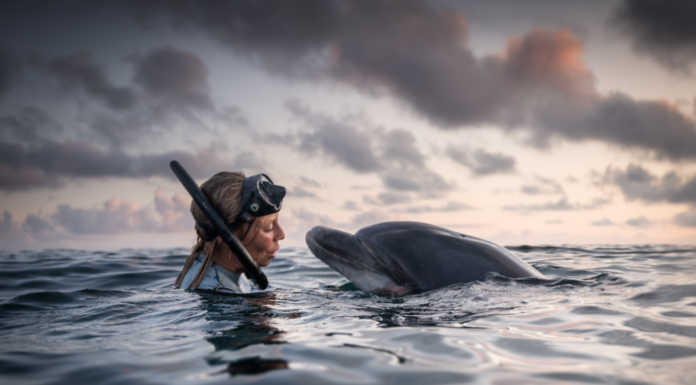 Al cinema Palladium di Lecco arriva l’Ocean Film Festival george_karbus