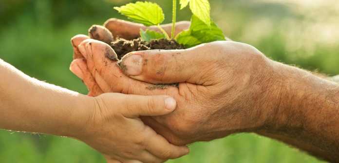 L’orto a scuola: a Valmadrera il Comune approva il progetto