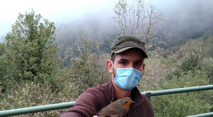 Monte Barro. Domenica porte aperte alla stazione ornitologica