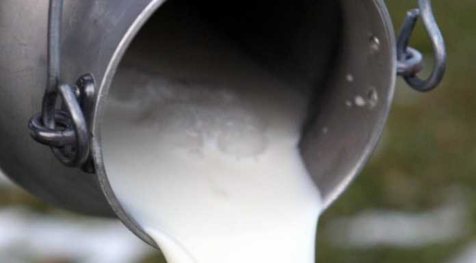 Casargo, la ex latteria rinasce con un bando della Comunità Montana