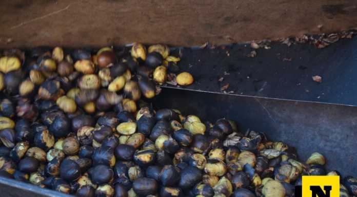 Calolzio. Rimandata al 21 novembre la castagnata al monastero