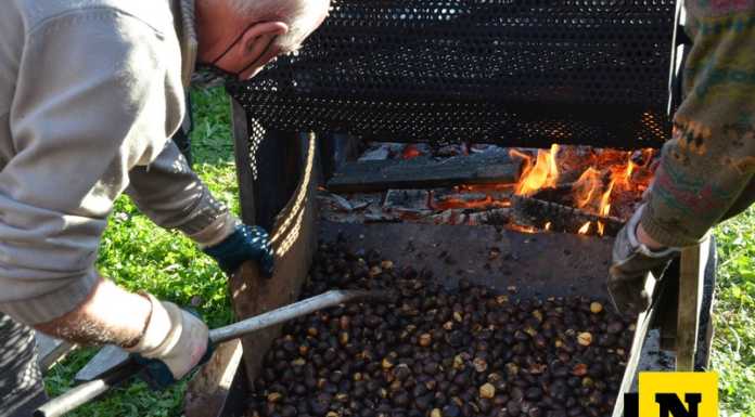 Rinviata al 30 ottobre la burollata benefica dell’associazione Tagme