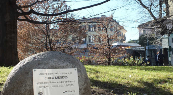 Anche a Lecco riparte Urban Nature: “Vogliamo città con più natura!” wwf lecco urban nature 10 ottobre