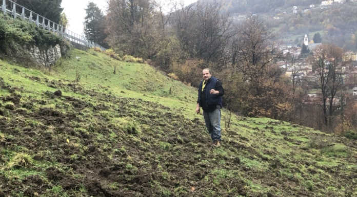 Coldiretti: “Cinghiali: danni alle culture e la burocrazia frena i rimborsi”