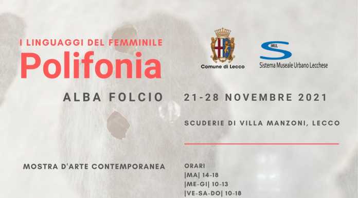 “Polifonia. I linguaggi del femminile”, l’opera di Alba Folcio a Villa Manzoni