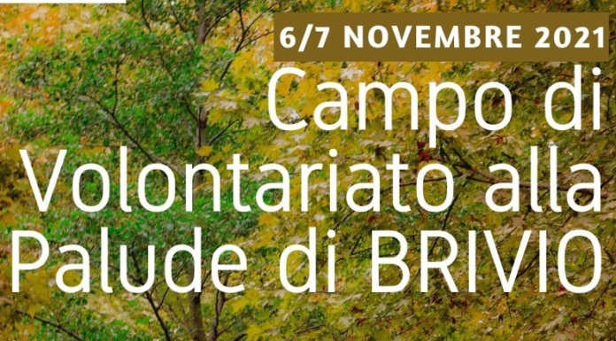 Legambiente: un week-end per far vivere la palude di Brivio