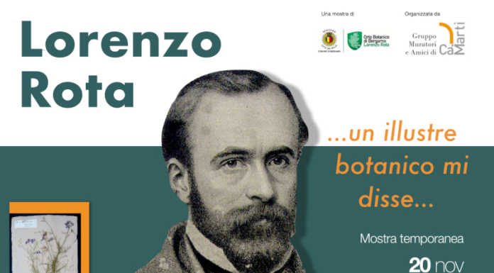 Un illustre botanico mi disse… a Carenno una mostra su Lorenzo Rota