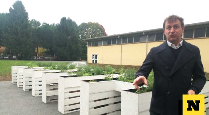 Merate, inaugurati al Cdd gli orti sospesi didattici: “La vera rinascita per i nostri ragazzi”