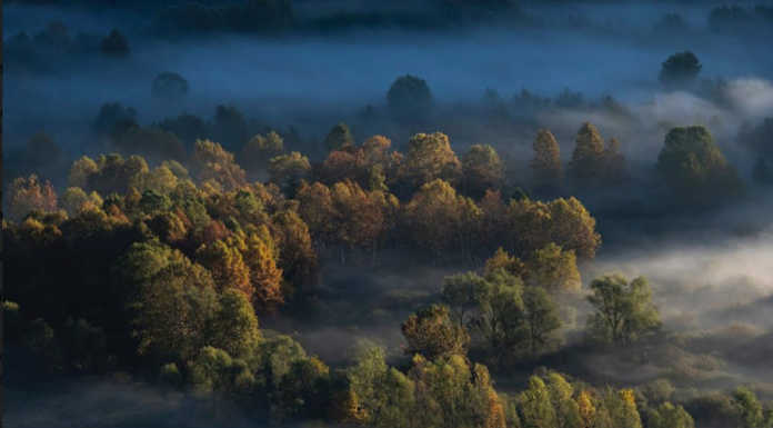 Con il Parco Adda Nord workshop fotografico sulle nebbie sul fiume