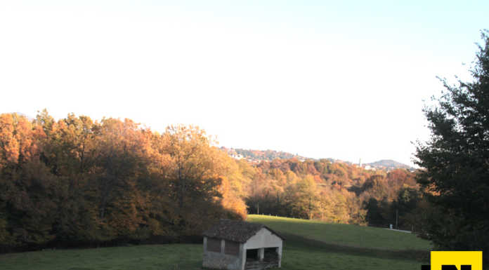 Elezioni al parco del Curone: “No alle bandierine politiche” Parco del Curone - Valfredda