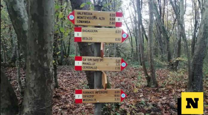 Nominati i rappresentati di Regione nei comitati di gestione dei tre parchi lecchesi