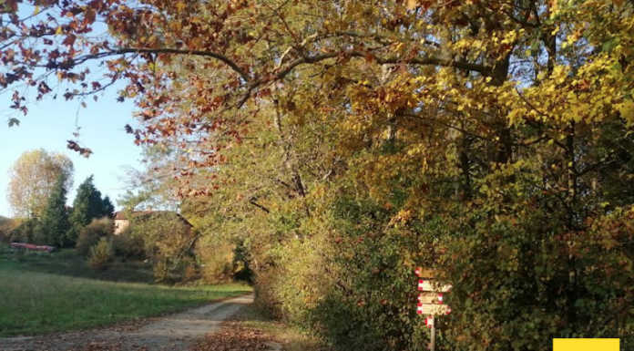 Associazioni unite: lettera ai sindaci per la salvaguardia del Parco del Curone