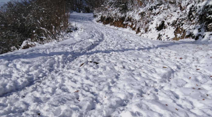 Trattori mobilitati contro la neve, a Bellano isolato allevamento con 60 animali