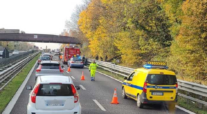 Albero cade sulla Statale 36, taglio in corso e code in super