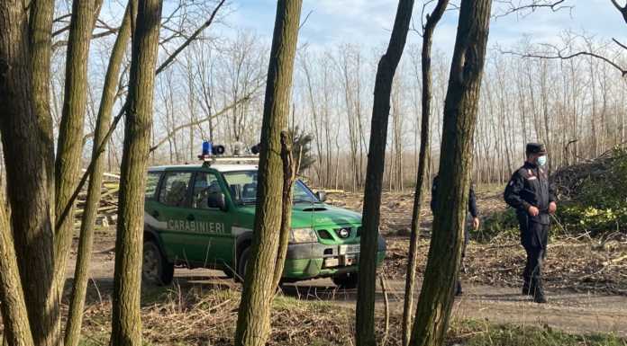 Controlli anti-bracconaggio nel milanese, cinque persone denunciate